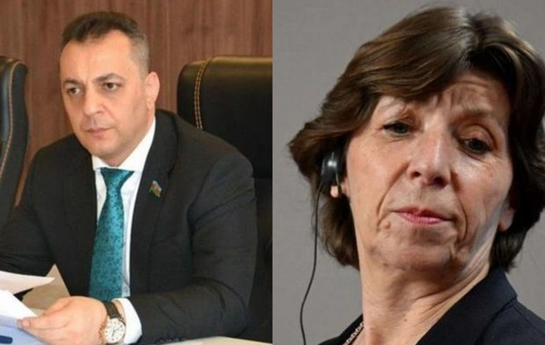 Азербайджанский депутат: Неуместные заявления главы МИД Франции не имеют никакого значения